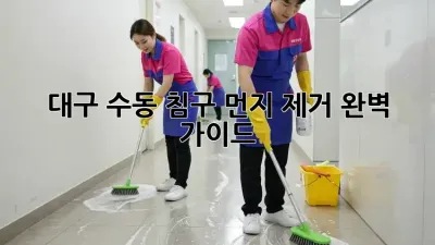 대구 수동 침구 먼지 제거 완벽 가이드!
