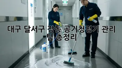 대구 달서구 장동 공기청정기, 관리 팁 총정리!